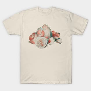 Vintage roses T-Shirt